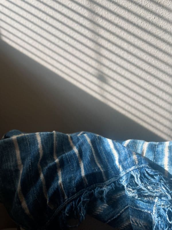 アフリカンインディゴ