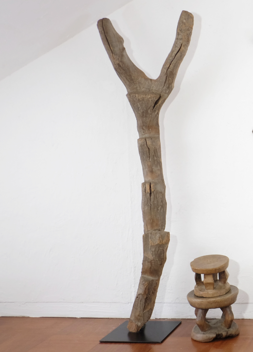 ドゴン族　ハシゴ