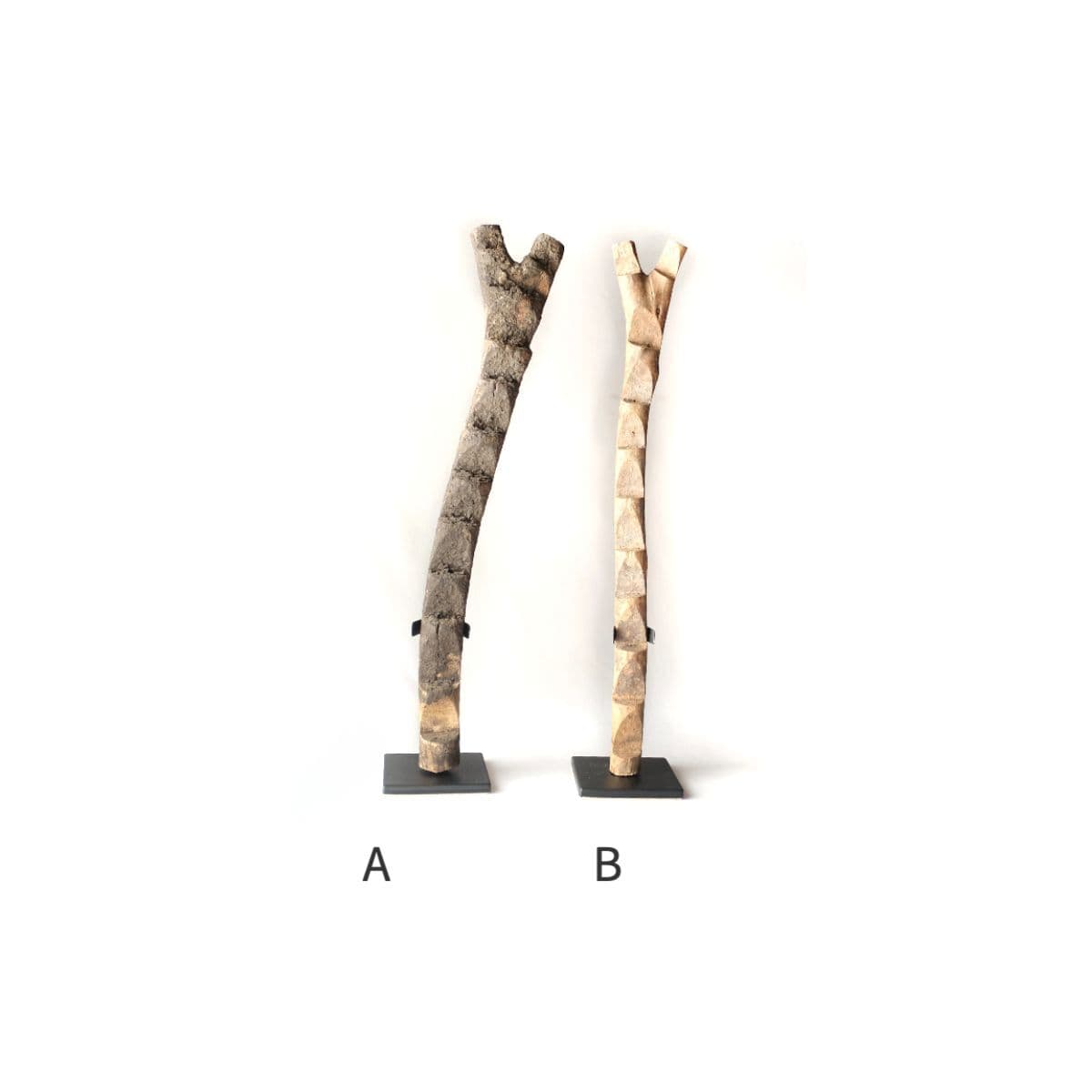 ドゴン族　はしご